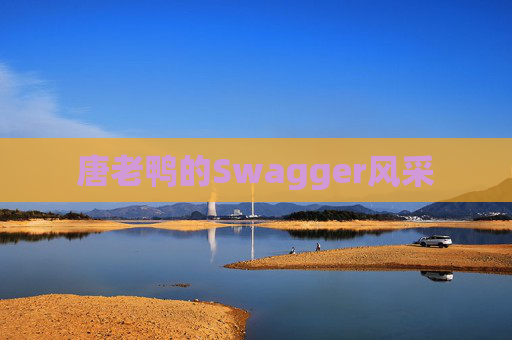 唐老鸭的Swagger风采